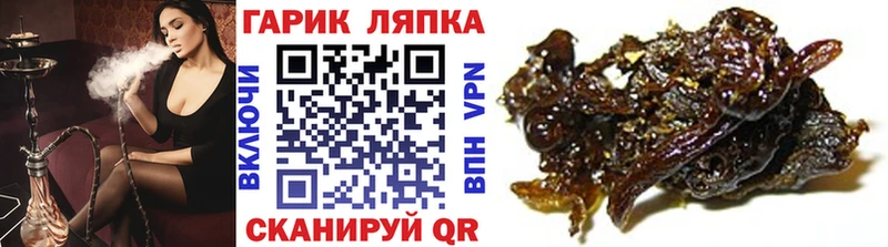 ГАШ Premium  Купить  Эртиль 