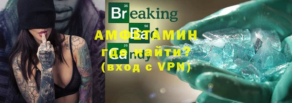 прущие грибы Заволжск