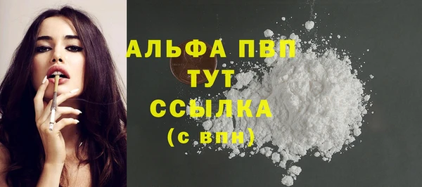прущие грибы Заволжск