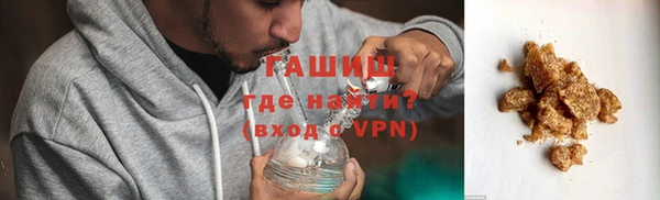 прущие грибы Заволжск
