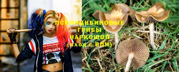 прущие грибы Заволжск