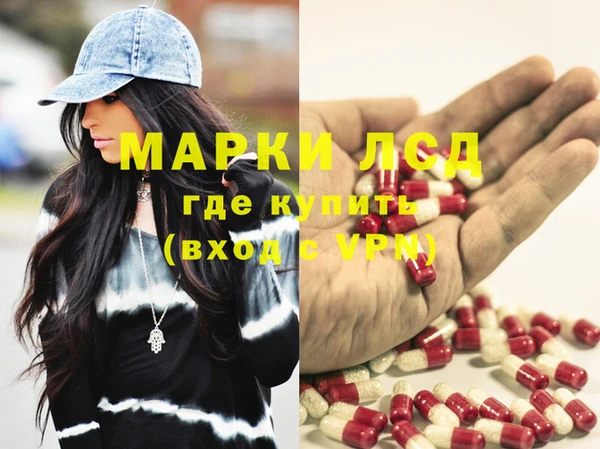 прущие грибы Заволжск