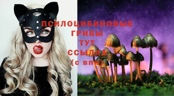 дистиллят марихуана Заводоуковск