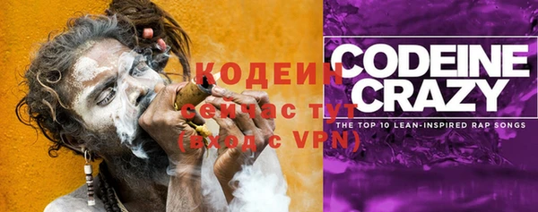 прущие грибы Заволжск