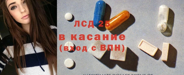 прущие грибы Заволжск