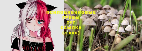 дистиллят марихуана Заводоуковск