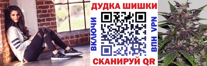 Купить закладки  Эртиль  МАРИХУАНА сатива 